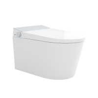 希箭(HOROW)G20零水压限制内置水箱挂式智能马桶O2O(不含安装)
