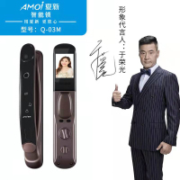 AMOi夏新高端智能锁 Q-03M咖啡金 指纹开锁 密码开锁 刷卡开锁 钥匙开锁