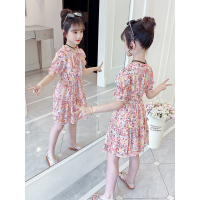 [直播宠粉款]女童碎花连衣裙2020新款夏装洋气雪纺儿童夏季