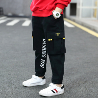 男童裤子秋款2020新款春款儿童装休闲中大童春秋小男孩帅气工装裤