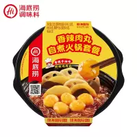 海底捞 香辣肉丸自煮火锅套餐272g