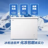 容声 BD/BC-249ZMSMA 249升冰柜家用减霜大容量冷藏冷冻两用一级能效雪糕厨房卧式冰柜冰箱