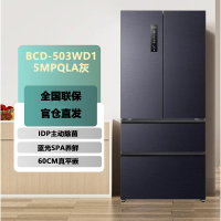 容声IDP净味503pro法式多门四开门超薄零嵌入式电冰箱家用一级节能效无霜BCD-503WD15MPQLA灰