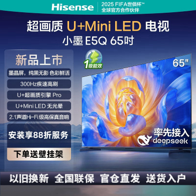 海信电视小墨E5Q 65英寸 超画质U+Mini LED 墨晶屏 300Hz高刷 DeepSeek AI智能液晶平板电视