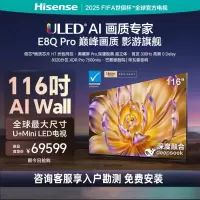 海信电视 116E8Q-PRO 116英寸 信芯H7 U+MiniLED 黑曜屏Pro 330Hz高刷 帝瓦雷音响