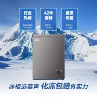 容声 BD/BC-145ZMSA 145升立式单温柜顶开门冰柜一级能效低噪家用商用冷藏冷冻转化冷柜