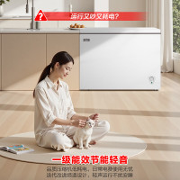 容声 BD/BC-298Z10HNLAX 298L 白 298升冷柜冷藏冷冻家商两用单温柜一级能效节能低噪