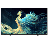 TCL雷鸟电视 55青鸟 55英寸 无缝贴墙 超薄一体化设计 240Hz高刷 电视55S585C Slim