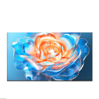 长虹电视85JD900H 85英吋高刷分仓回音壁超音画AI 平板液晶LED电视