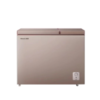 海信(Hisense)BCD-206NUD 206升双温家用冰柜一级能效冷藏冷冻两用独立分区速冻小型冷柜