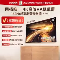 Vidda R Pro 43英寸 海信电视 144Hz高刷 4K高阶VA低反屏液晶平板电视机43VR1S-PRO