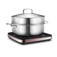 苏泊尔(SUPOR)电磁炉C21-IC20