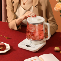 小浣熊养生壶WH16带滤桶