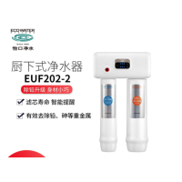 怡口(ECOWATER)家用厨下式净水器EUF201-2/EUF202-2净水机全屋净水过滤 EUF202-2