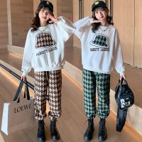 女童套装2022新款春秋款儿童卫衣中大童裤子休闲时尚洋气两件套潮