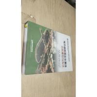 城市道路混合交通流分析模型与方法