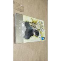 少年绘·第十辑:少年文艺范·青春正能量