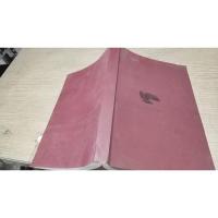 坚定的爱的光芒