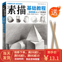 [二手8成新]素描基础教程 经典全集系列丛书 杨建飞 绘,中国书店出版社 9787514915761