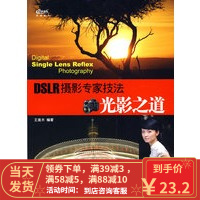 [二手8成新]DSLR摄影专家技法——光影之道 王美木著 9787562446170