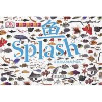 [二手8成新]鱼—鲨鱼和其他水中居民 (英)史密斯,(英)弗莱彻 设计 9787110083901