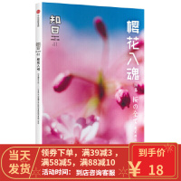 【二手8成新】知日 樱花入魂 茶乌龙 9787508673028