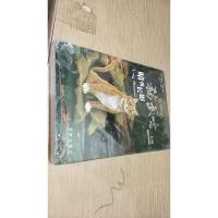 暗夜长影:猫武士三部曲之五