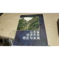 山东省经济开发现在与未来