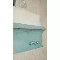 武式太极拳