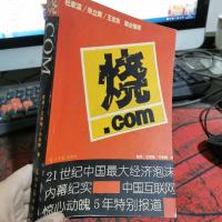 烧.com：21世纪中国最大经济泡沫内幕纪实