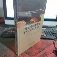 普光高酸性气田采气工程技术与实践