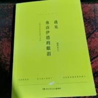 遇见弗洛伊德的眼泪