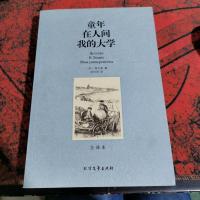 世界文学名著:童年 在人间 我的大学(全译本)