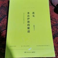 遇见弗洛伊德的眼泪