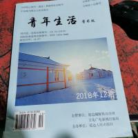 青年生活 学术版 2018.12期