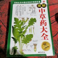 图解中草药大全（更全面，更实用，更权威的家庭中医养生中草药大全。）