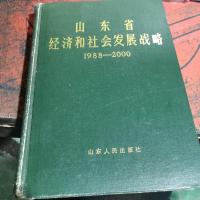 山东省经济和社会发展战略。1988-2000