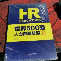 世界500强人力资源总监管理手记