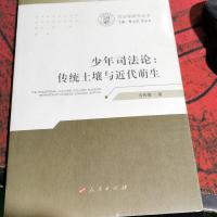 少年司法论:传统土壤与近代萌生(司法学研究丛书)