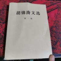 胡锦涛文选 第一卷