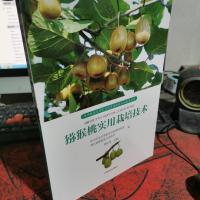 猕猴桃实用栽培技术