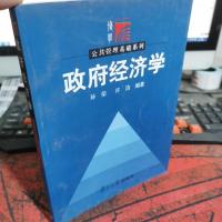 政府经济学