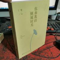 你和我的倾城时光