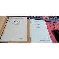 西班牙课外读物 GLORIA 光荣 上下册