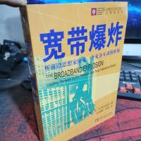宽带爆炸：听前沿思想家预见一个充分互动的世界