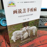 画说羔羊疾病