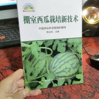棚室西瓜栽培新技术