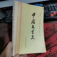 中国文学史.二