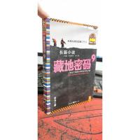 藏地密码 :珍藏版大全集 9