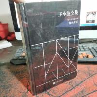 王小波全集(第六卷 短篇小说):似水柔情
